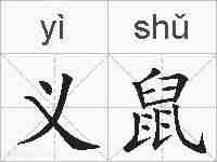义鼠的拼音