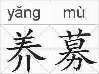 养募的拼音