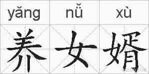 养女婿的拼音