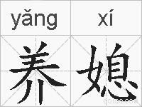 养媳的拼音