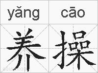 养操的拼音