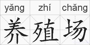 养殖场的拼音