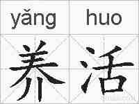 养活的拼音