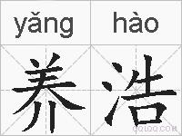 养浩的拼音