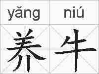 养牛的拼音