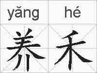 养禾的拼音