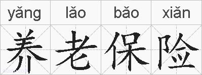 养老保险的拼音