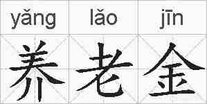 养老金的拼音