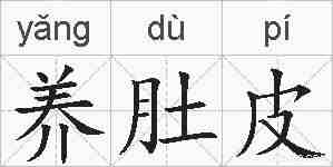 养肚皮的拼音