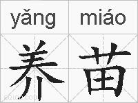 养苗的拼音