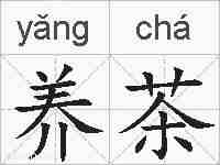 养茶的拼音