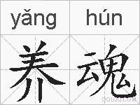 养魂的拼音