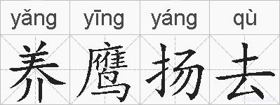 养鹰扬去的拼音
