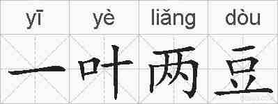 一叶两豆的拼音