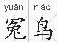 冤鸟的拼音