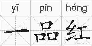 一品红的拼音