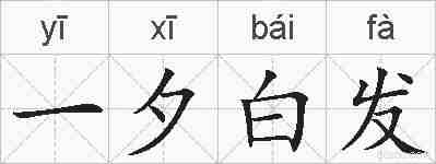 一夕白发的拼音