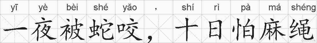 一夜被蛇咬,十日怕麻绳的拼音