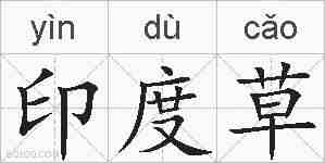 印度草的拼音