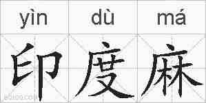 印度麻的拼音