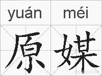 原媒的拼音
