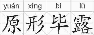 原形毕露的拼音
