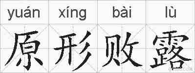 原形败露的拼音
