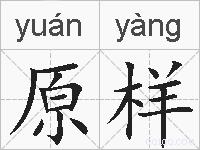 原样的拼音