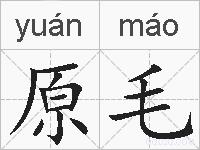 原毛的拼音