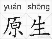 原生的拼音