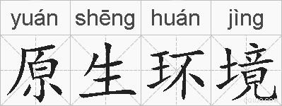 原生环境的拼音