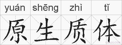 原生质体的拼音