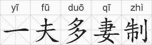 一夫多妻制的拼音