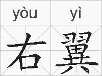右翼的拼音