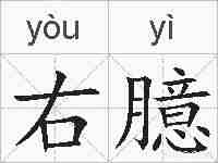 右臆的拼音
