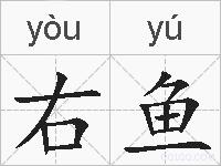 右鱼的拼音
