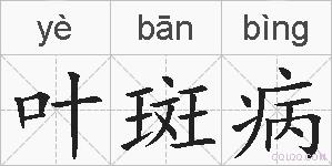 叶斑病的拼音