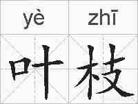 叶枝的拼音