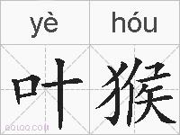 叶猴的拼音