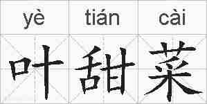 叶甜菜的拼音