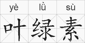 叶绿素的拼音