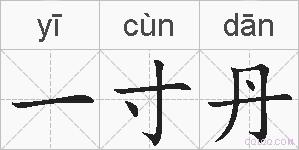 一寸丹的拼音