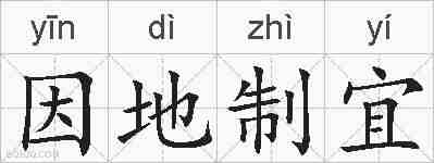 因地制宜的拼音