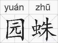 园蛛的拼音