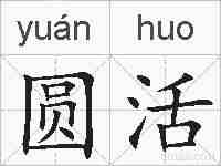 圆活的拼音