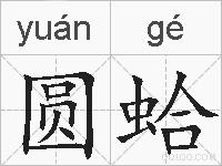 圆蛤的拼音