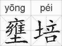 壅培的拼音