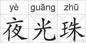 夜光珠的拼音