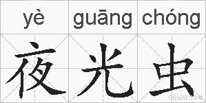 夜光虫的拼音