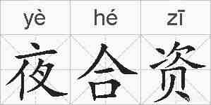 夜合资的拼音